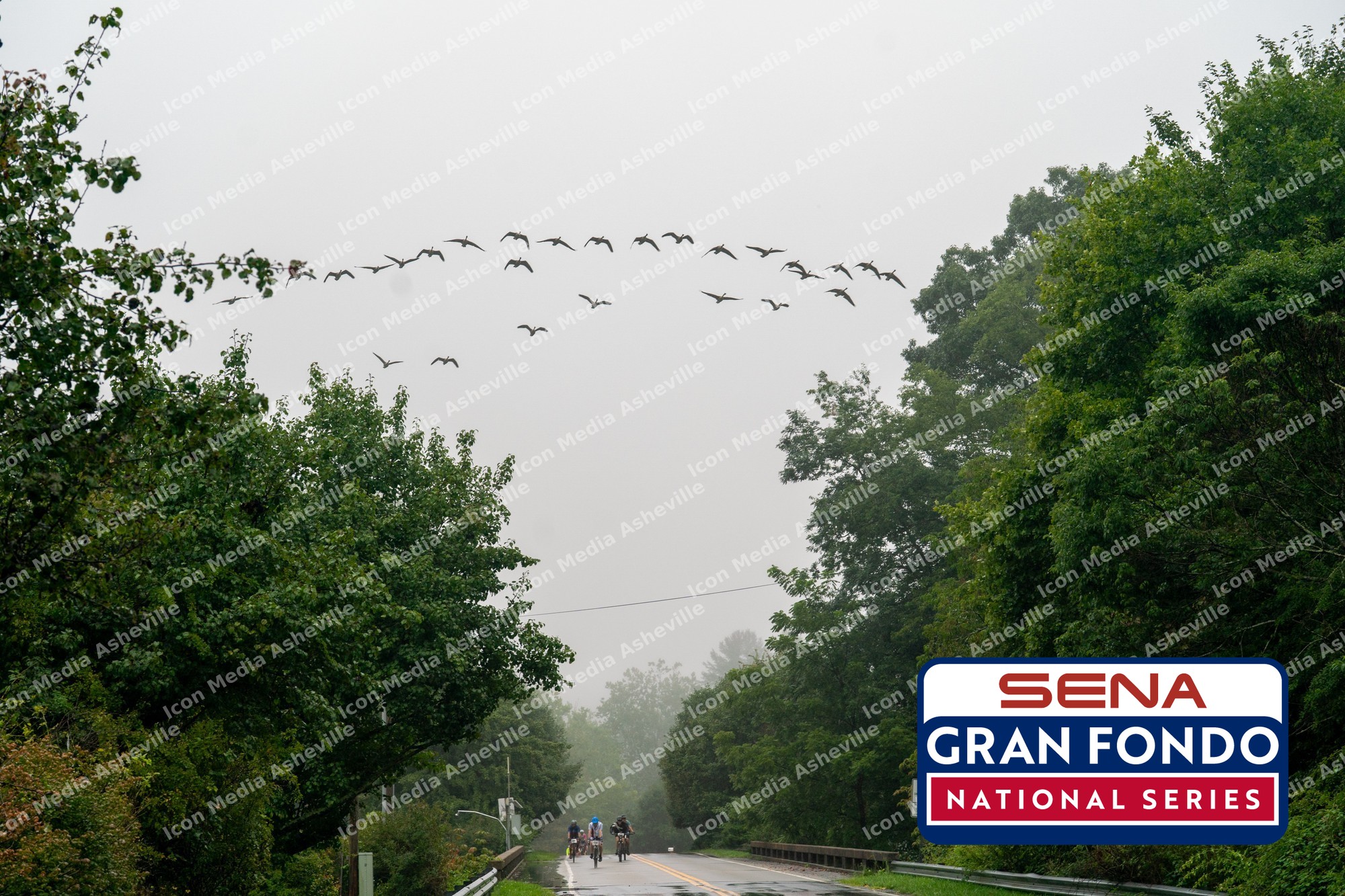 SB108605